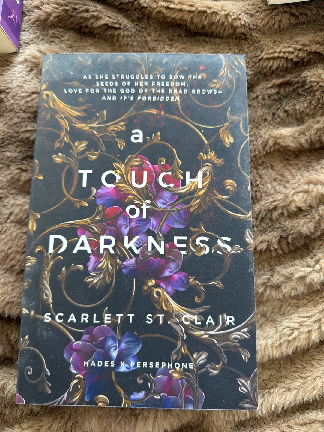 A Touch of Darkness Book by Scarlett St. Clair