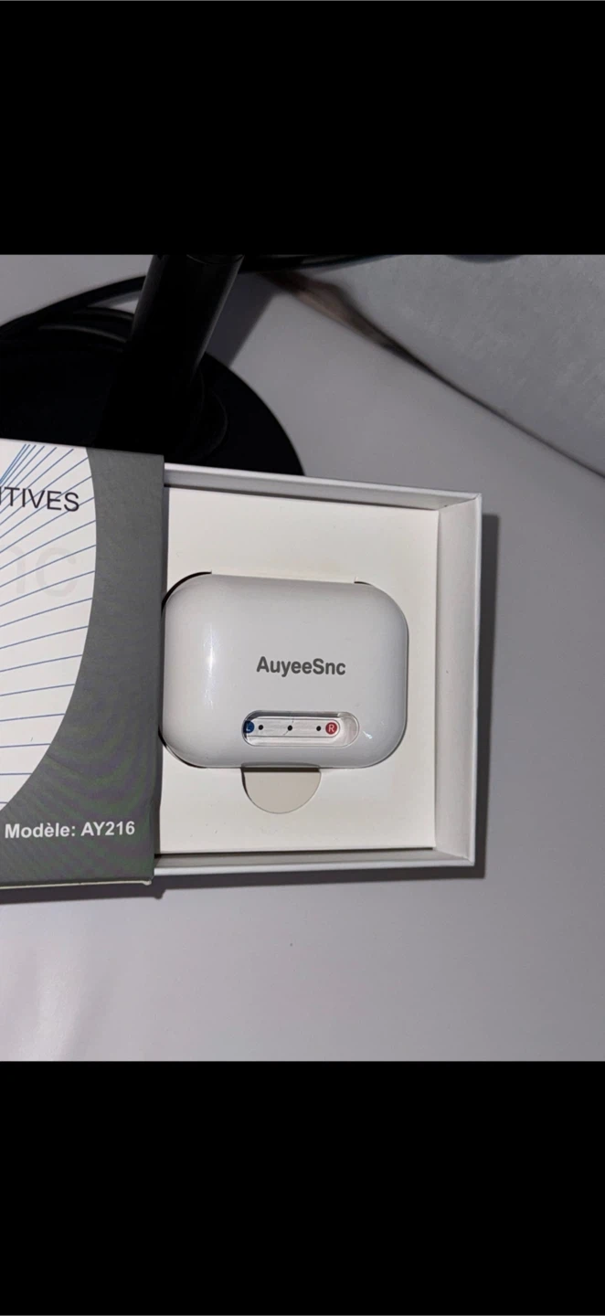 AUYEESNC ITE Rechargeable Hearing Aids AY216 - photo 4
