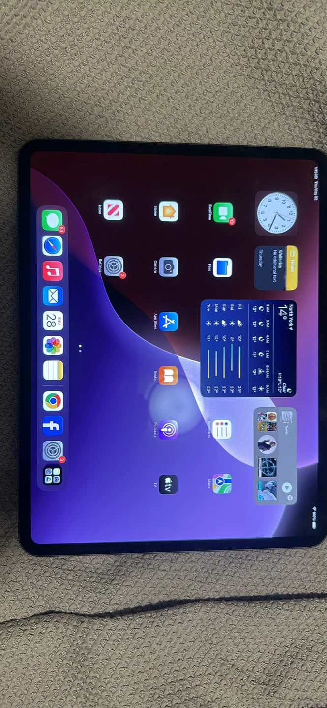 Apple iPad Pro m4 13 inch 256gb (free accessories!)