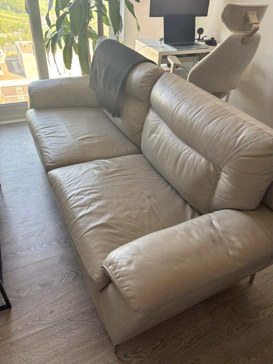 Leather Sofa + free coffee table