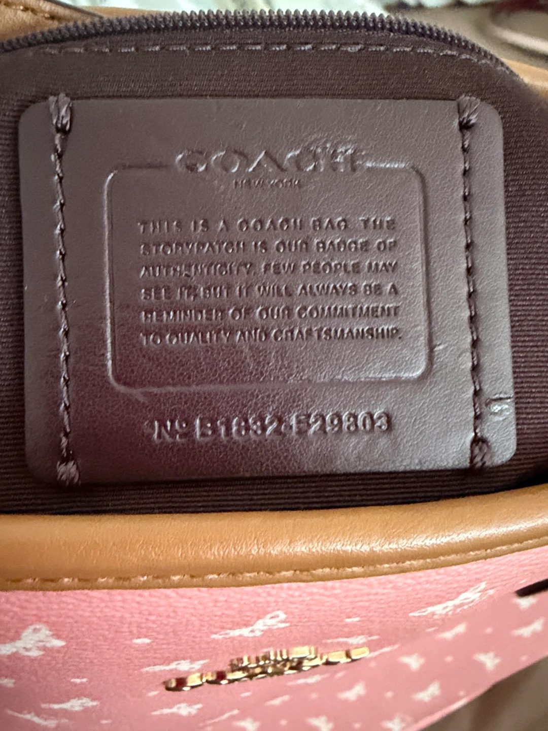 Coach Butterfly Print Tote Bag - photo 3