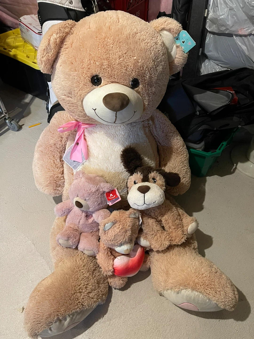 Teddy Bear and Dog Plush Toys