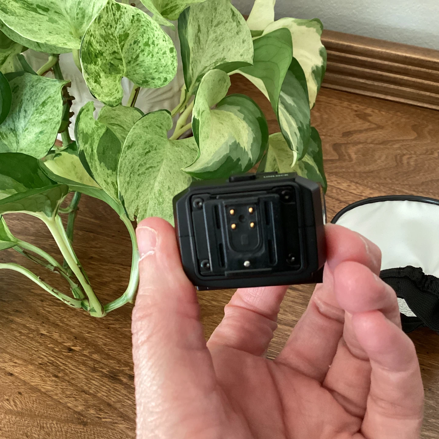Olympus FL-LM3 External Flash - photo 3