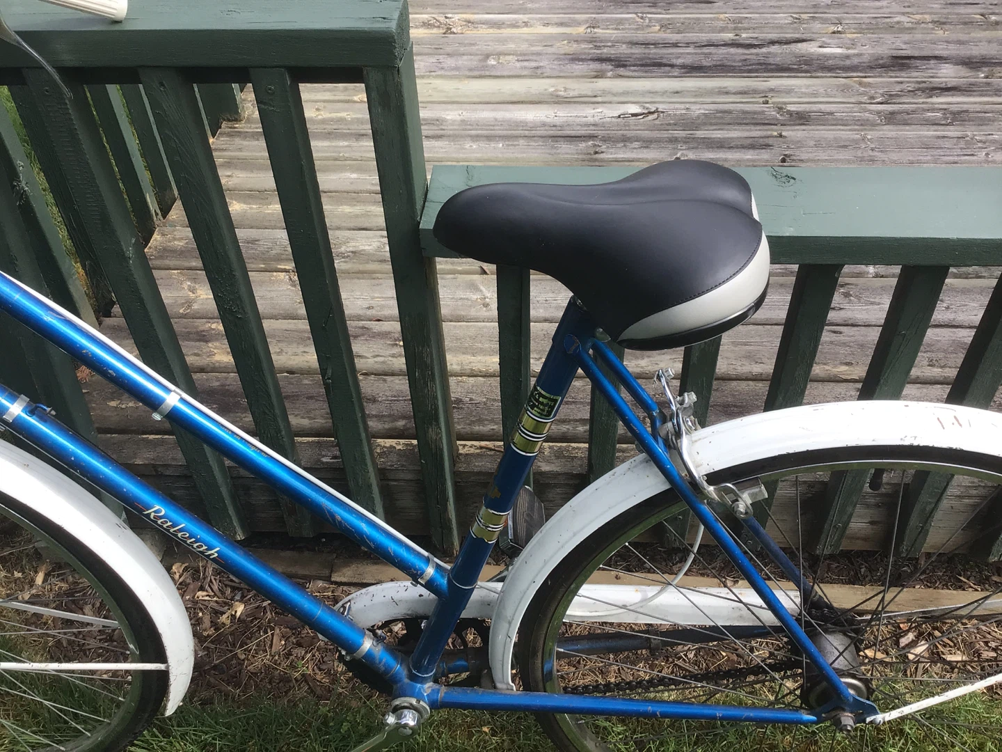 Blue Raleigh Women's Cruiser Bike