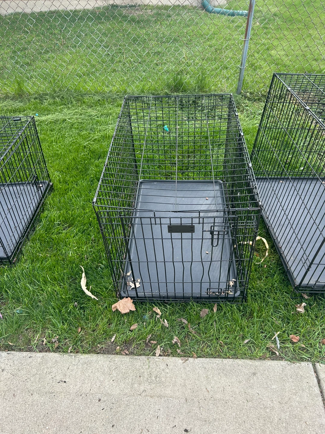 Wire Dog Crate with Tray - photo 2