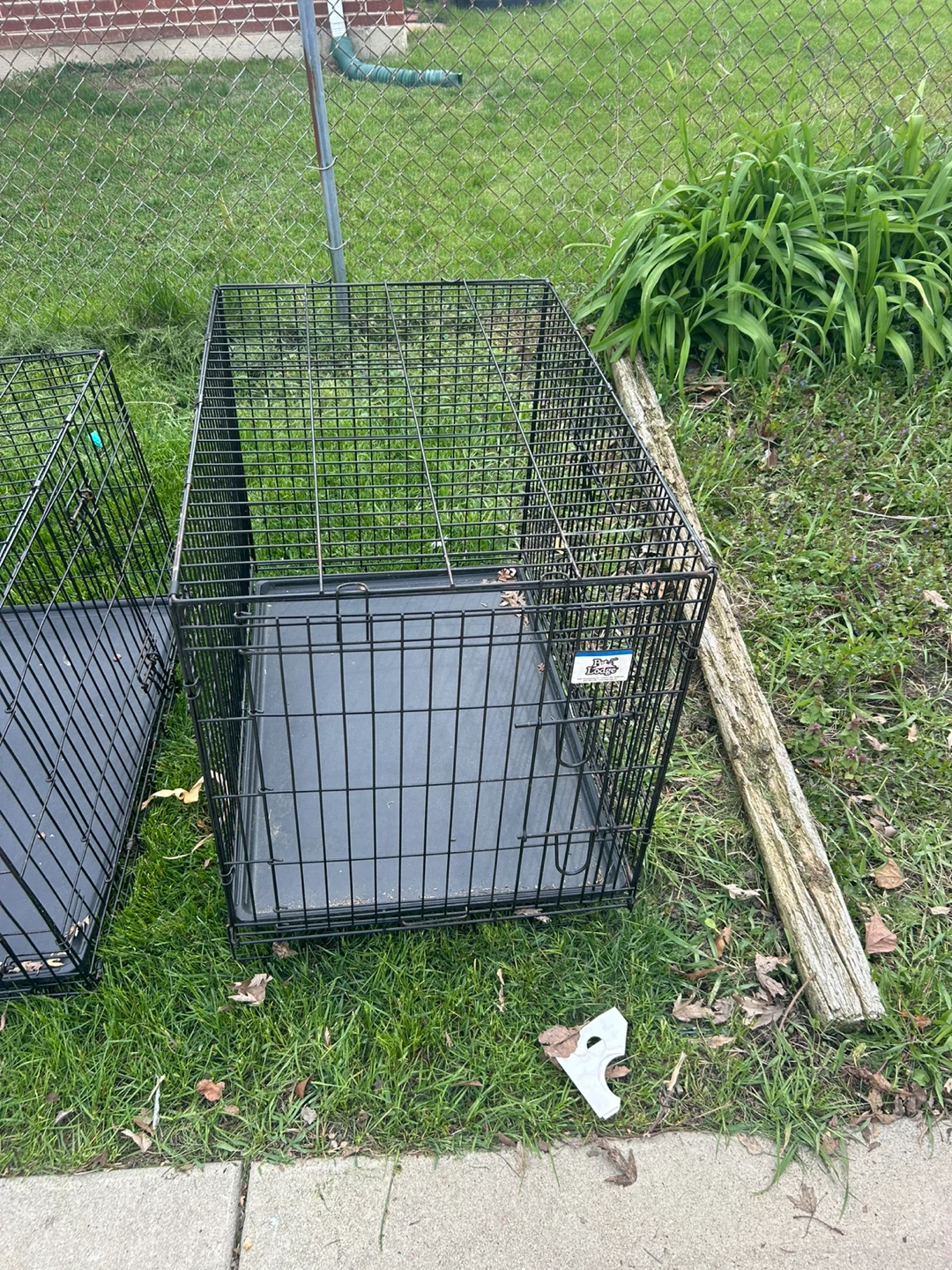 Wire Dog Crate with Tray