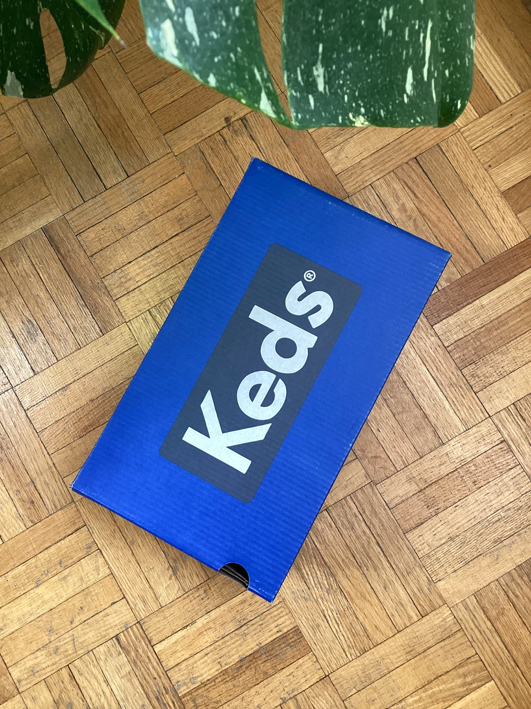 BNIB Keds Suede Slip-On Sneakers Size 9 - photo 5