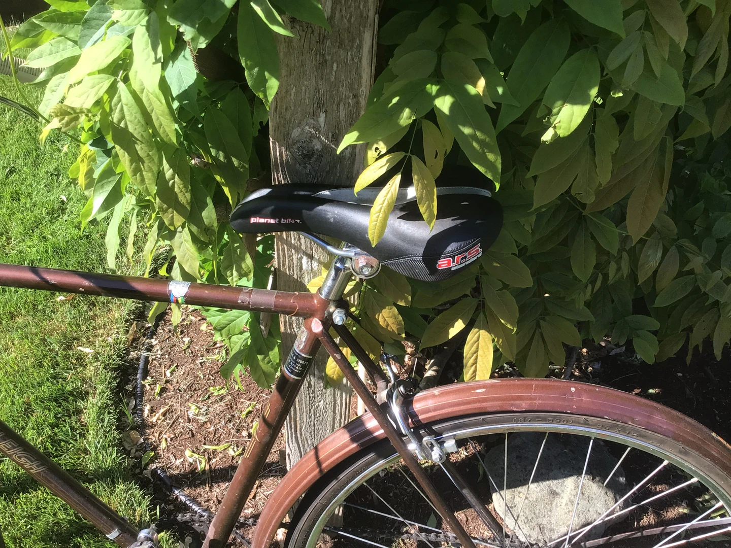 Raleigh Cruiser Bike - photo 4