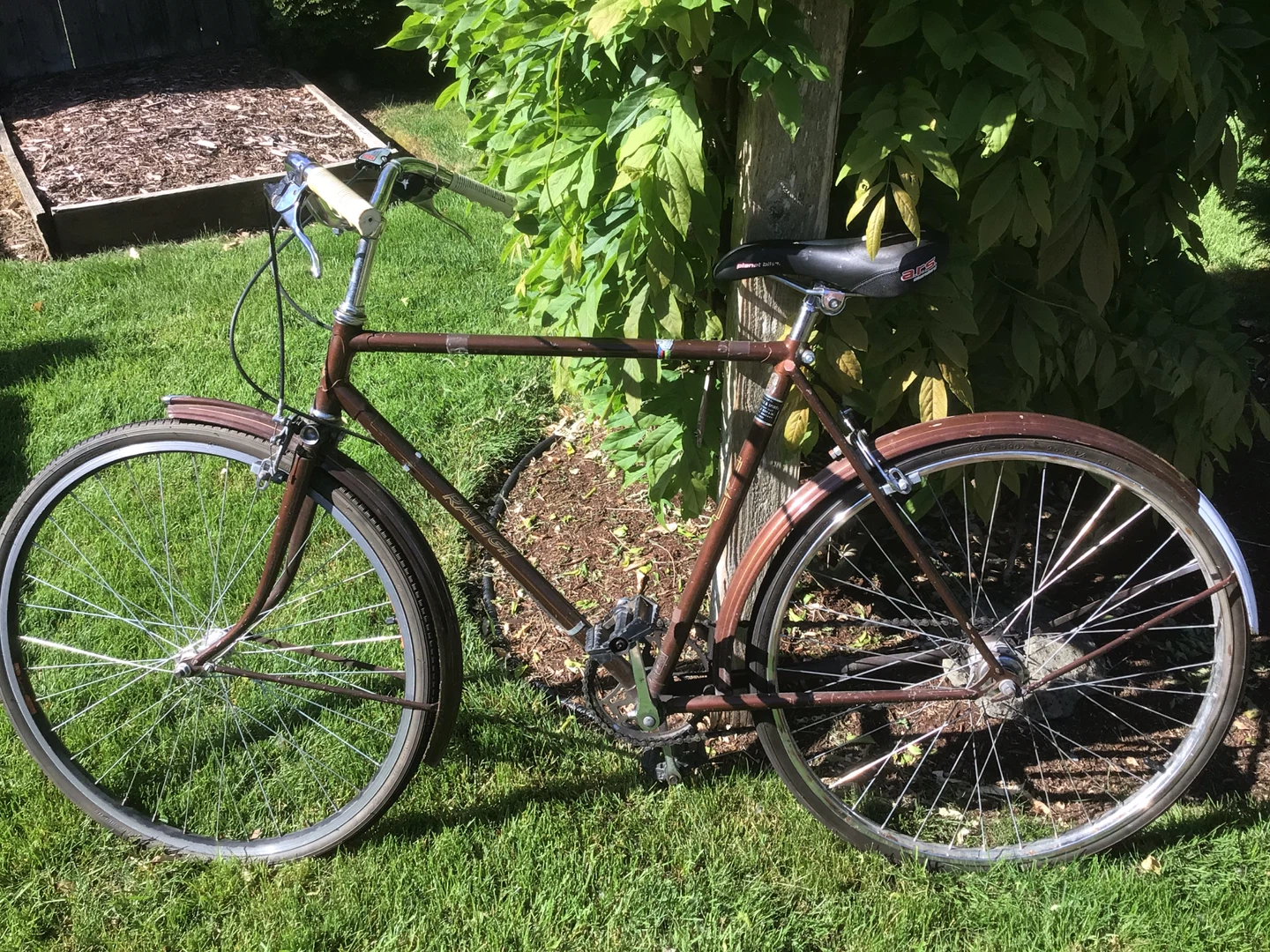 Raleigh Cruiser Bike - photo 5
