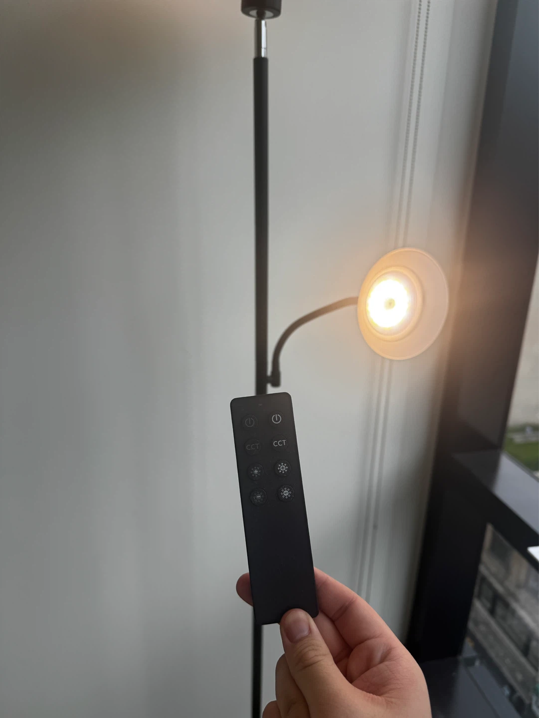 MOVEOUTSALE!! Black Floor Lamp with Remote - photo 3