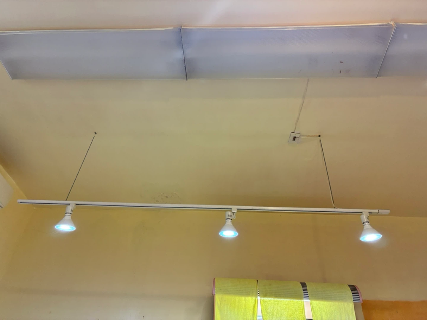 White track lights with bulbs