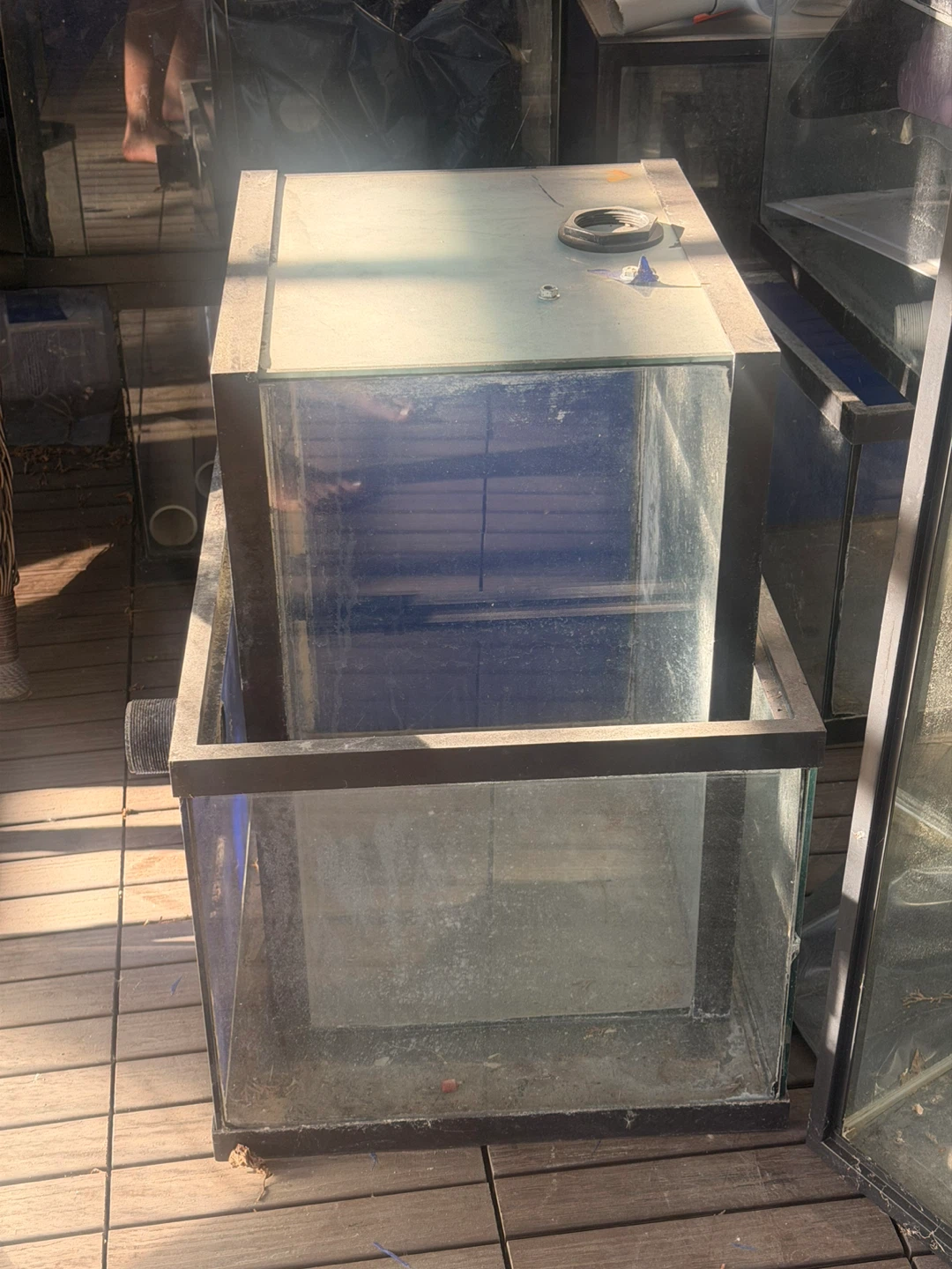 Large Glass Aquarium Tanks - photo 2
