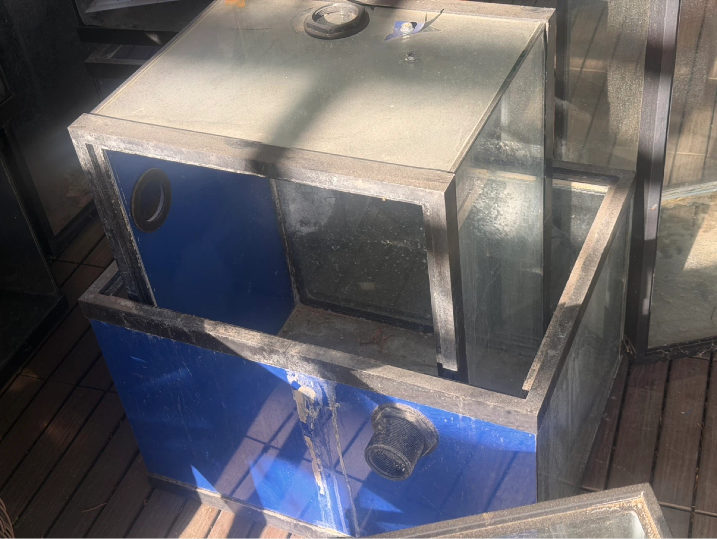 Large Glass Aquarium Tanks