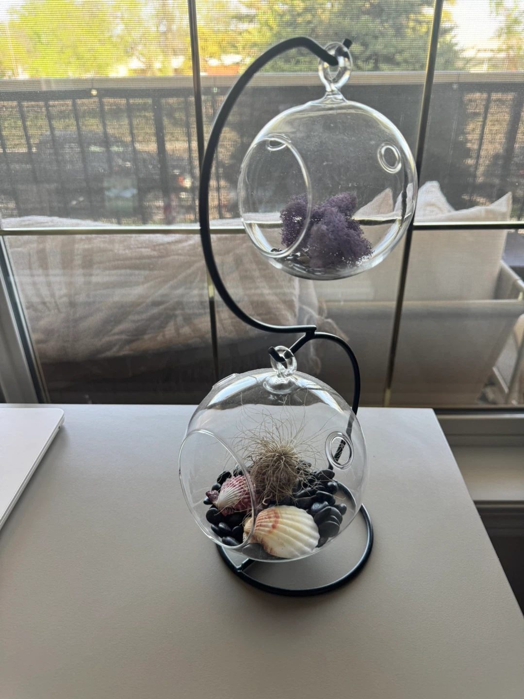 Double Orb Hanging Terrarium with Decor