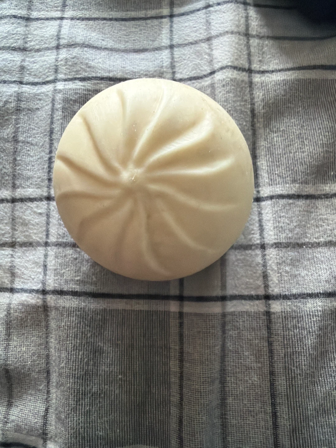 Steamed Bun Squishy