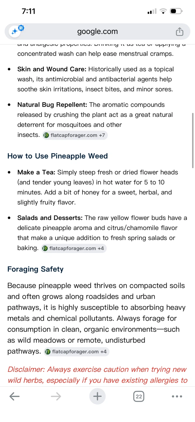 Fresh Pineapple Weed Plants - photo 2