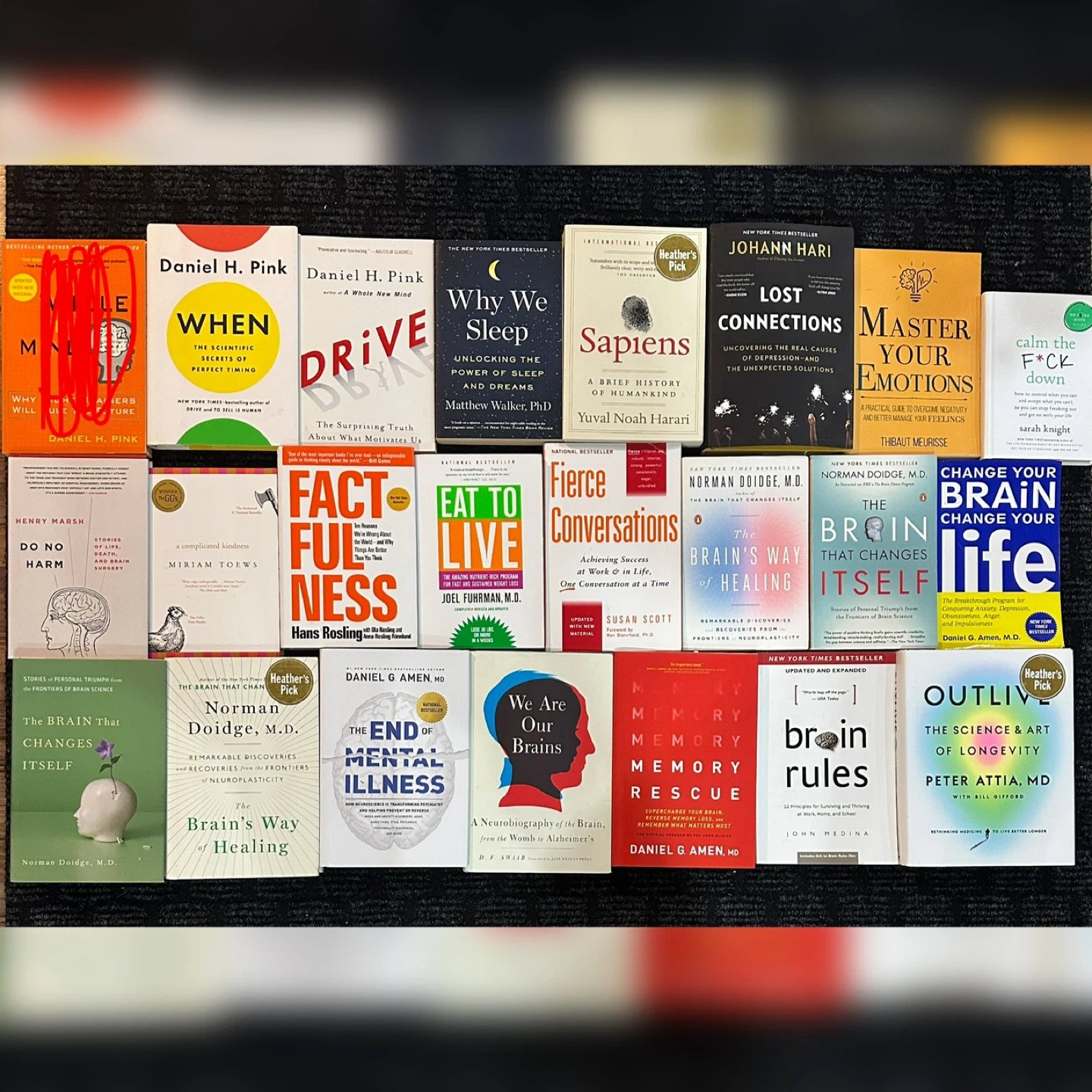 Sapiens, Outlive, The brain can change itself, Drive,…