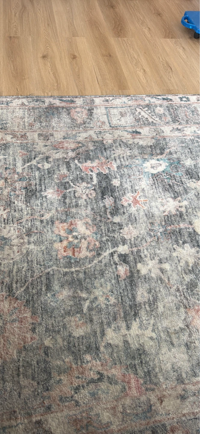 Distressed Medallion Area Rug