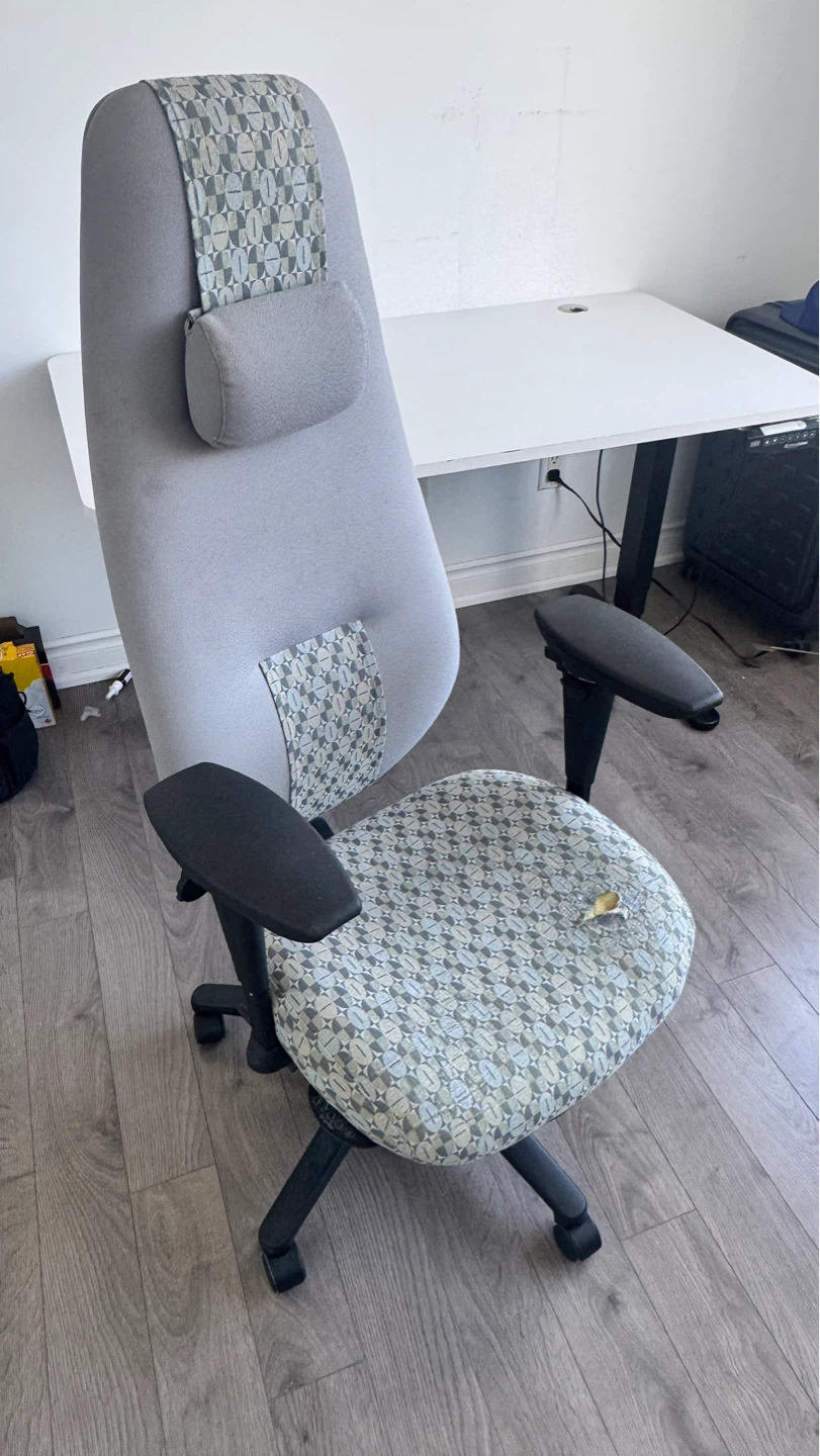 ErgoCentric Ergonomic Office Chair