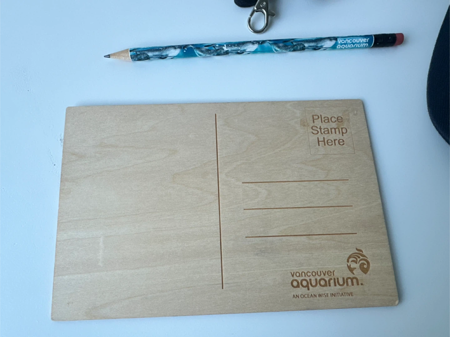 Official Vancouver Aquarium merchandise bundle. - photo 5