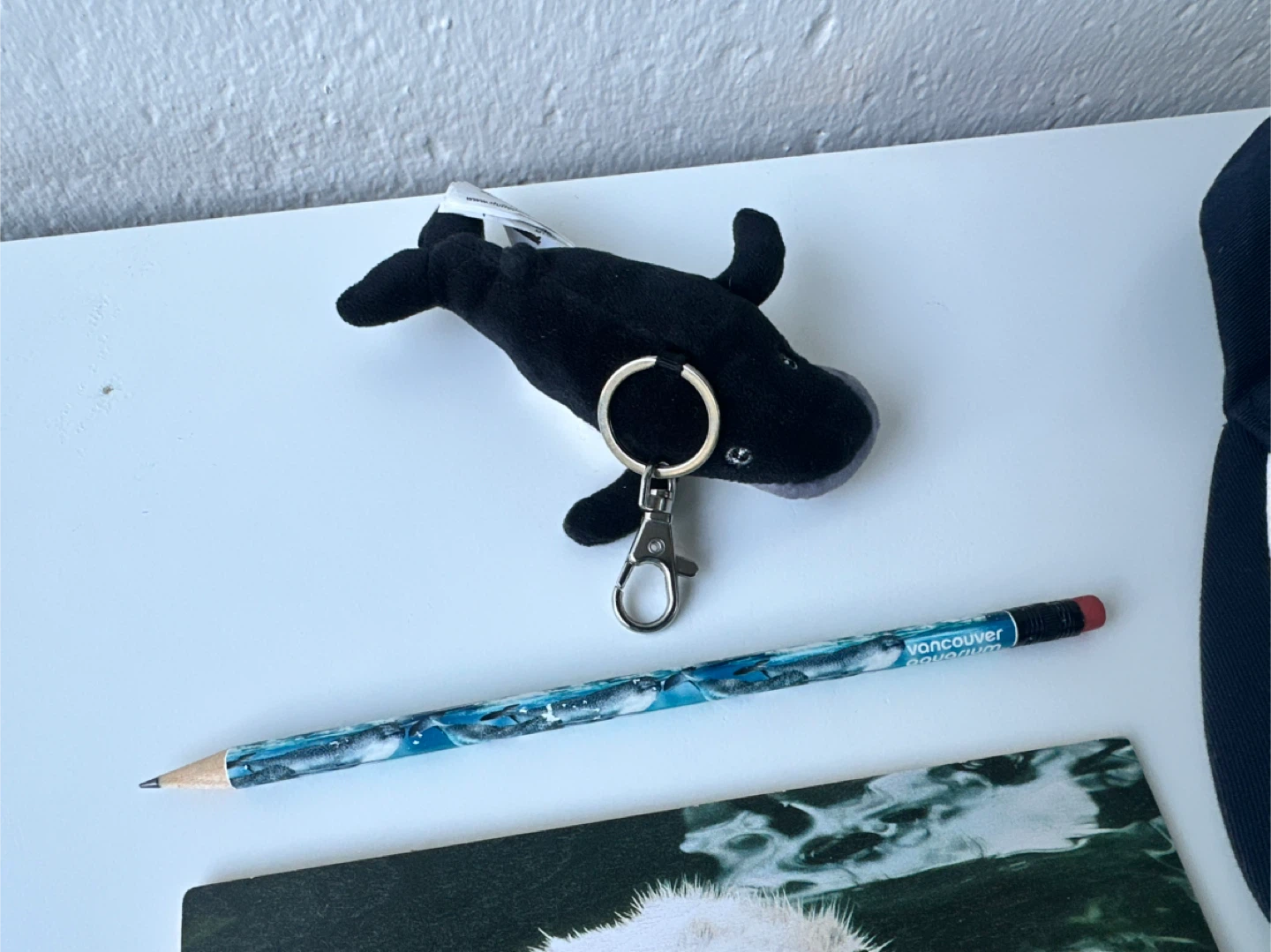 Official Vancouver Aquarium merchandise bundle. - photo 3