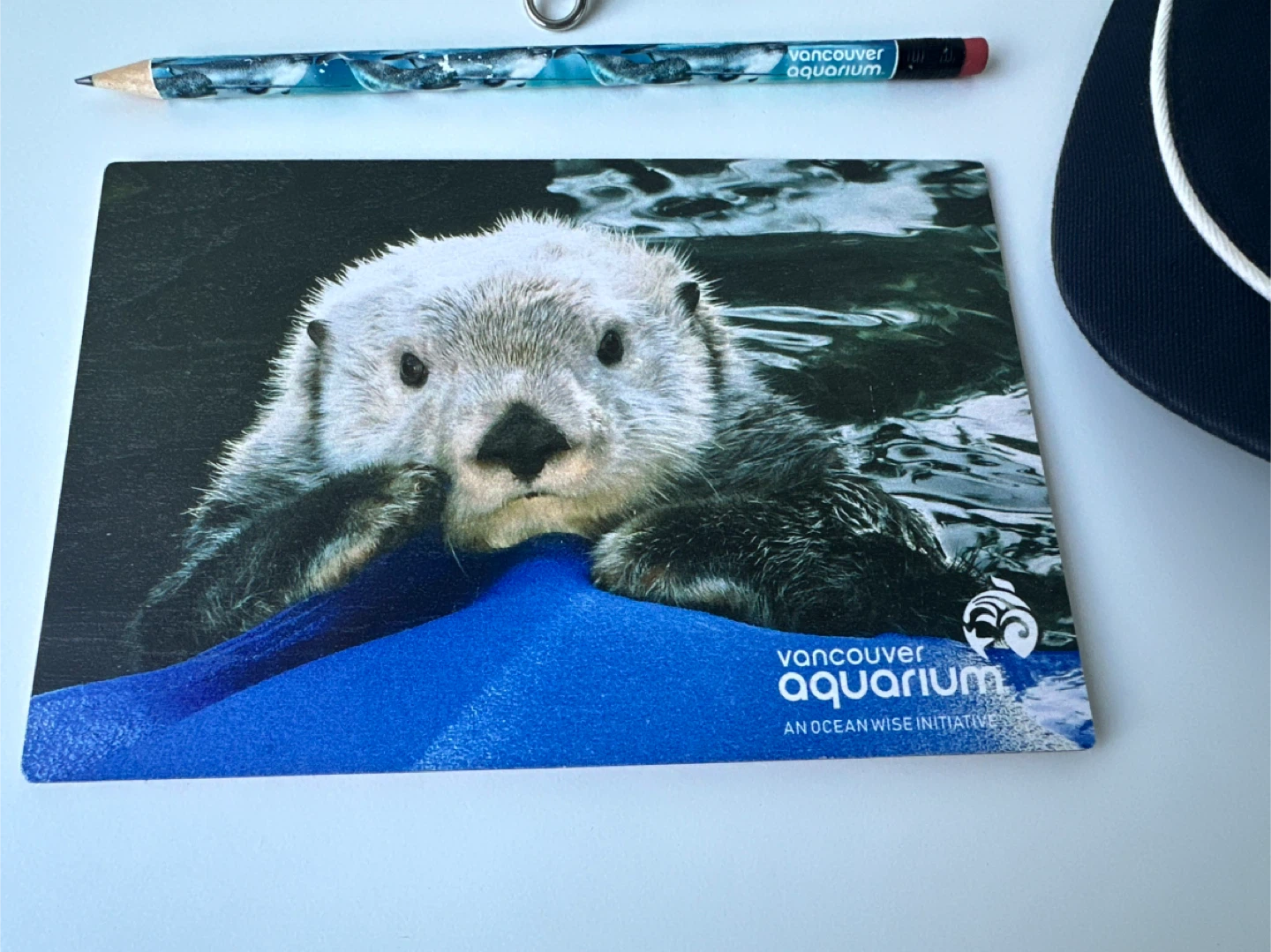 Official Vancouver Aquarium merchandise bundle. - photo 2