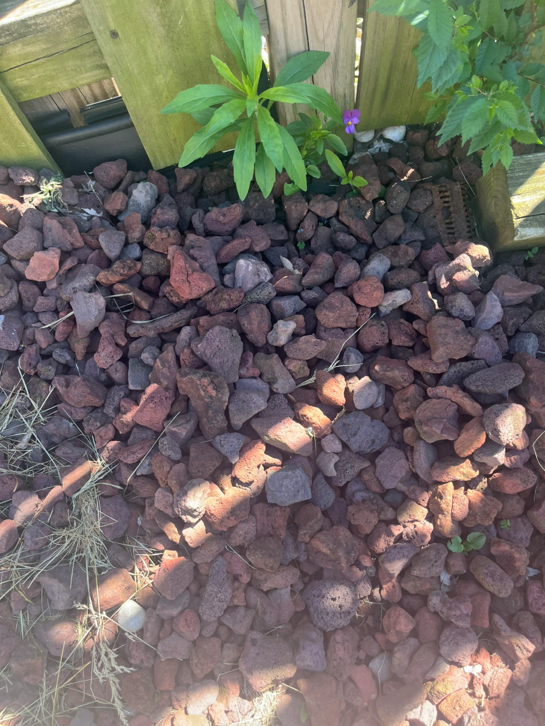 Free Red Lava Rocks for Landscaping