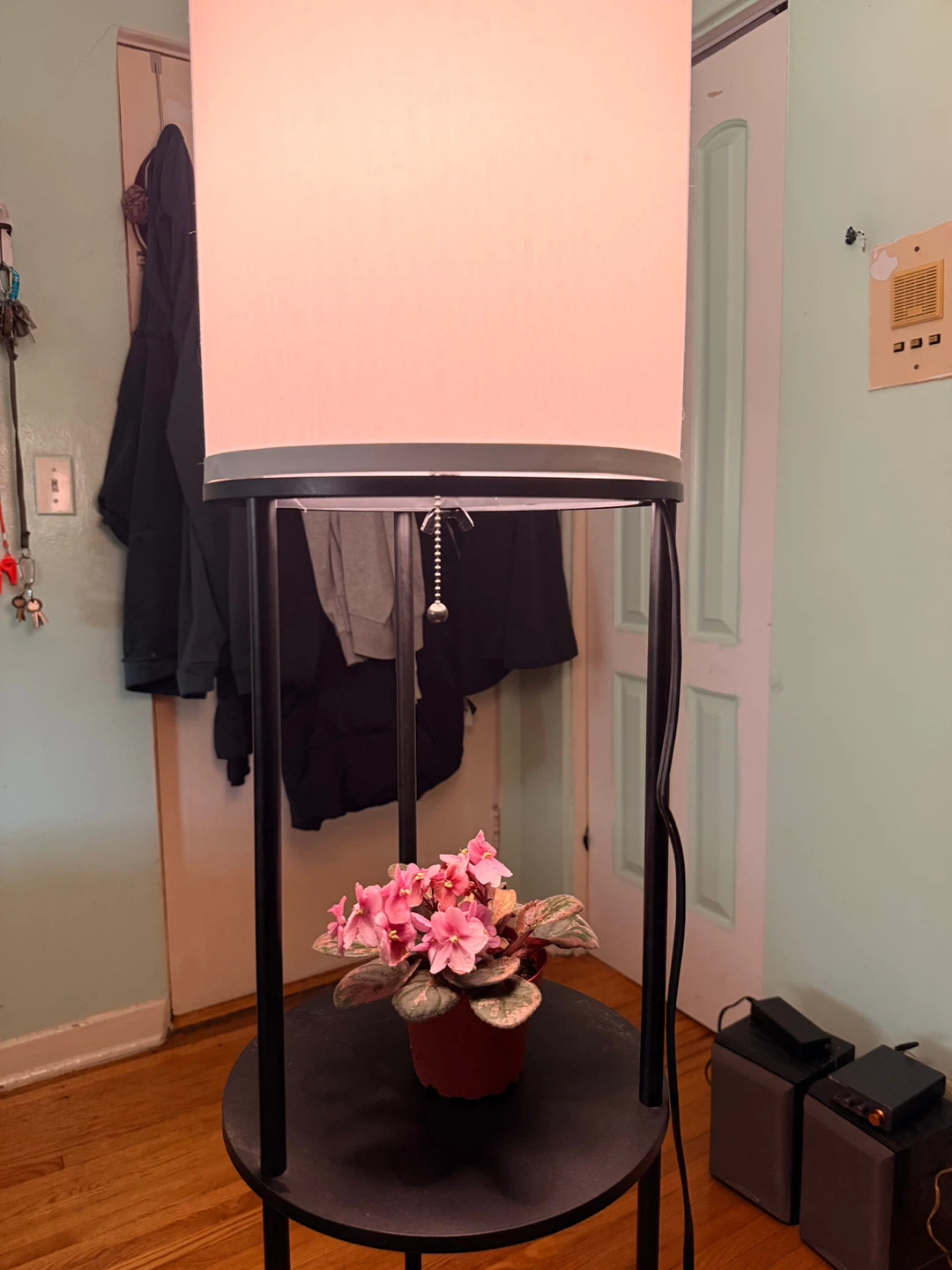 Black Floor Lamp with Storage Shelves