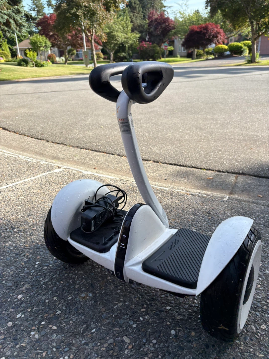 ninebot hoverboard - photo 2