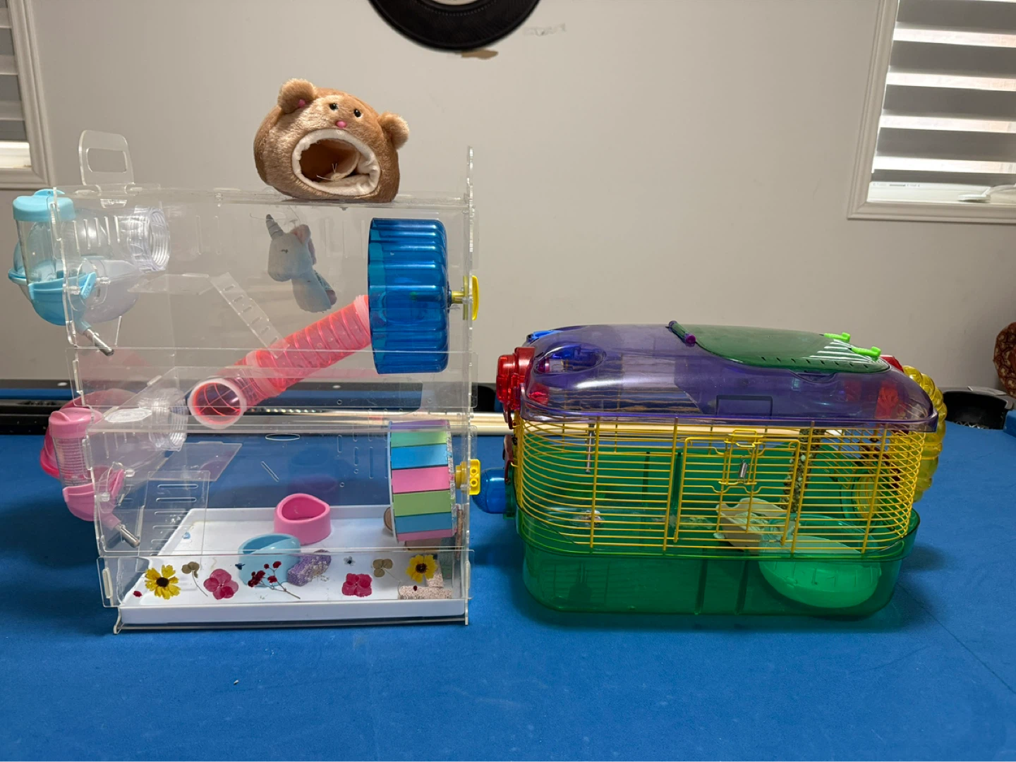 Two Small Animal Cages with Accessories - photo 2