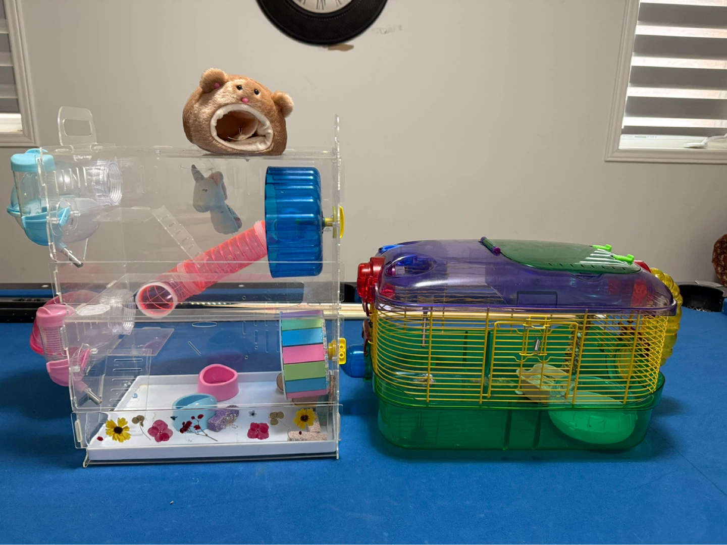 Two Small Animal Cages with Accessories