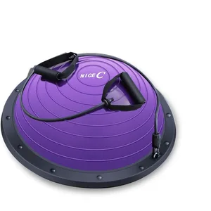 Purple Balance Trainer with Resistance Bands