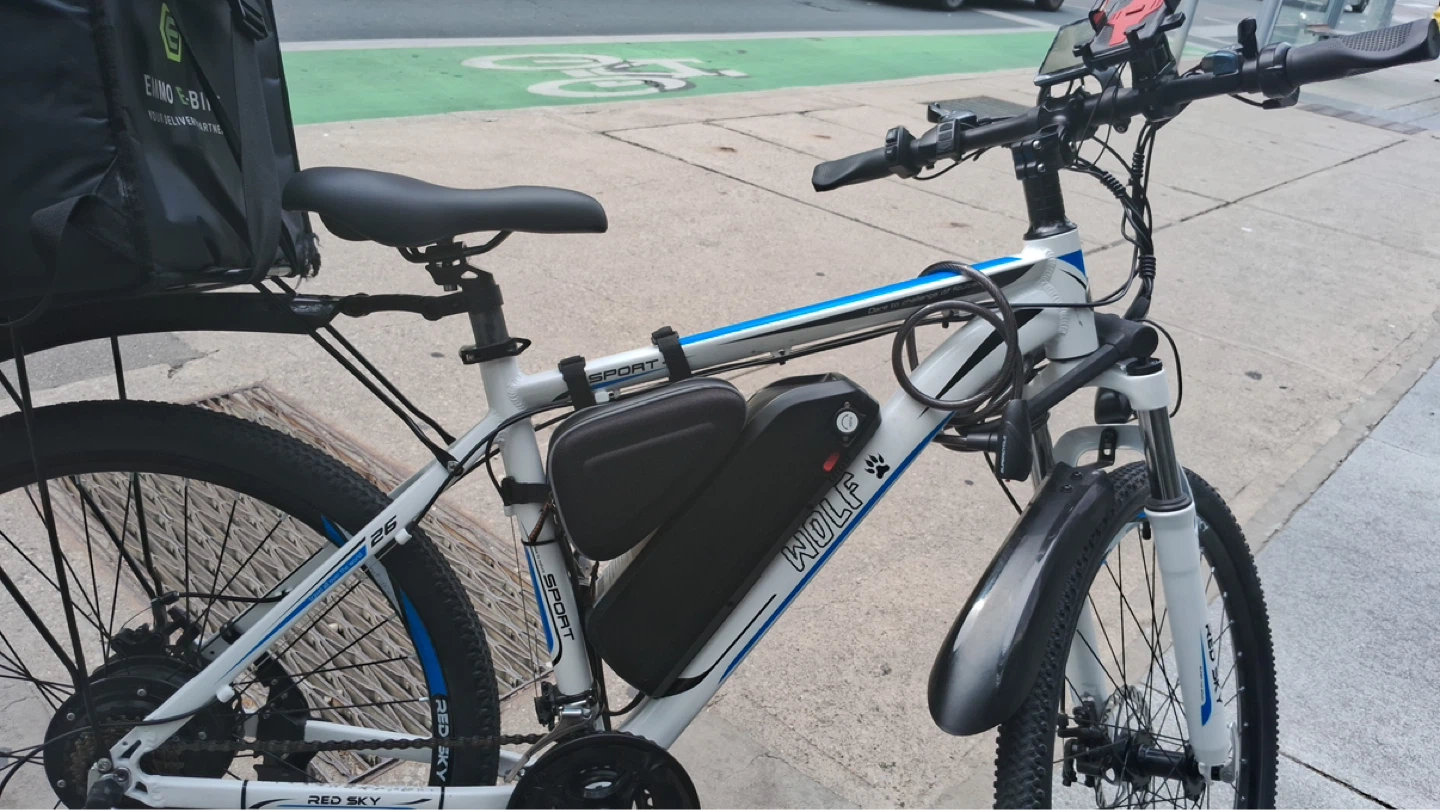 WOLF Electric Bike with EM MO Delivery Bag - photo 2