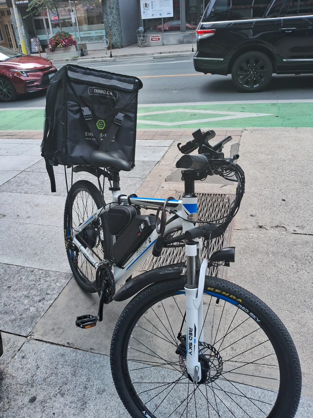 WOLF Electric Bike with EM MO Delivery Bag