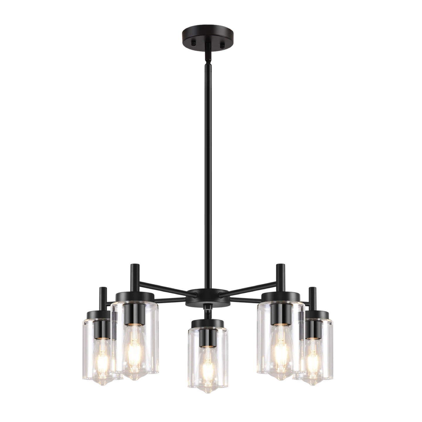 Black 5-Light Chandelier with Glass Shades