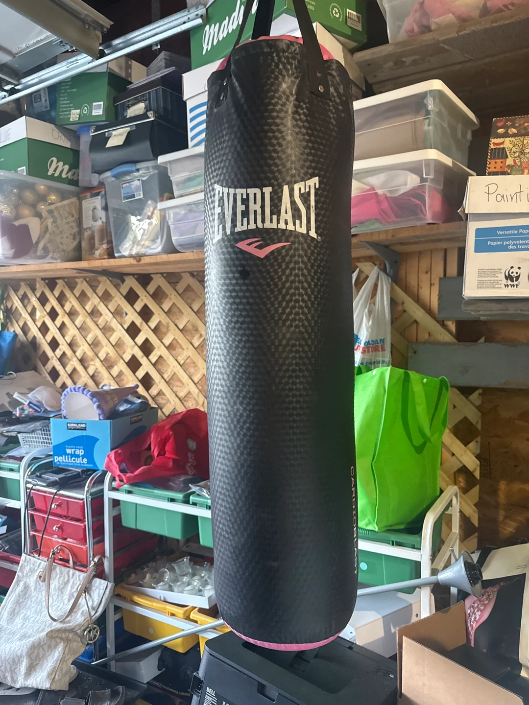 Everlast Punching Bag
