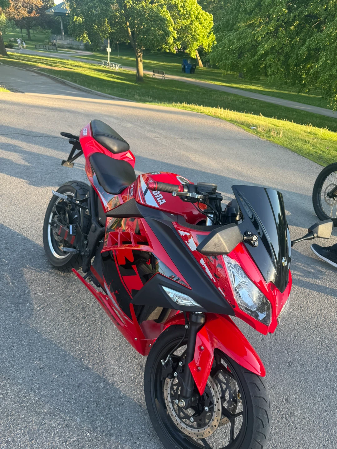 Red Cobra E-Bike Motorcycle 2024 lithium batteries - photo 2