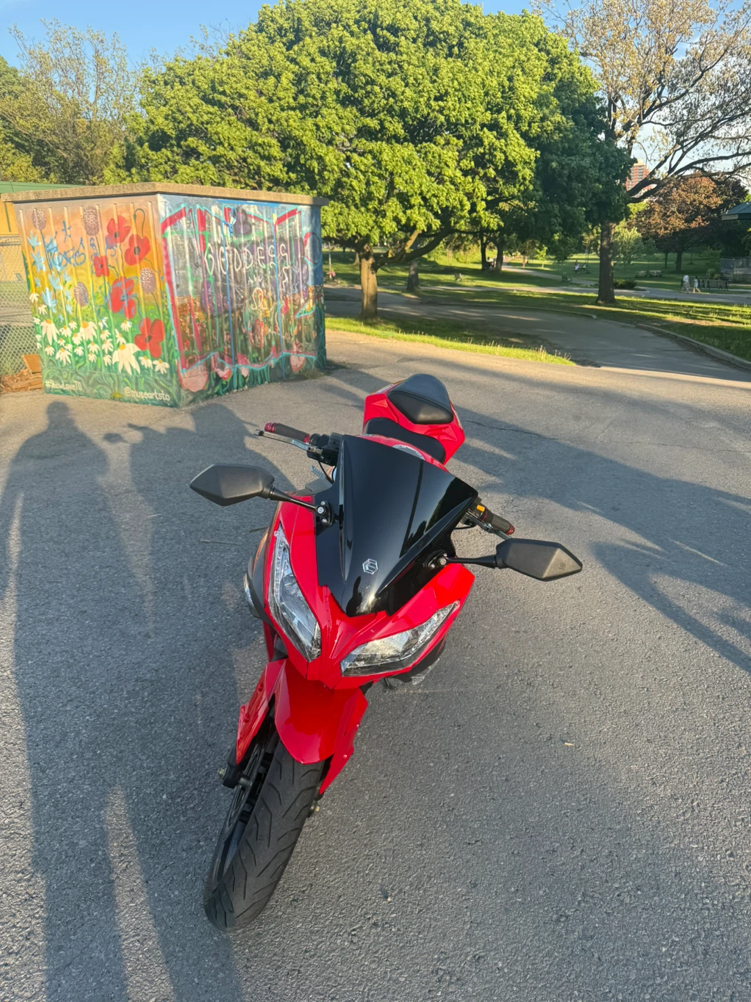 Red Cobra E-Bike Motorcycle 2024 lithium batteries - photo 3