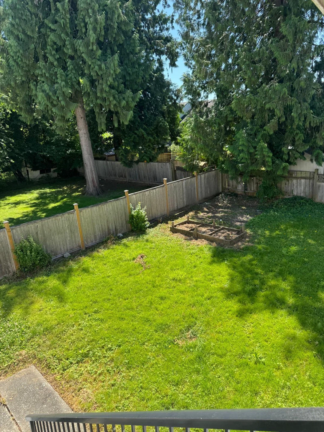 House for Rent - photo 2
