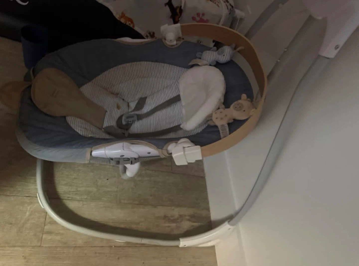 Ingenuity Baby Swing - photo 3