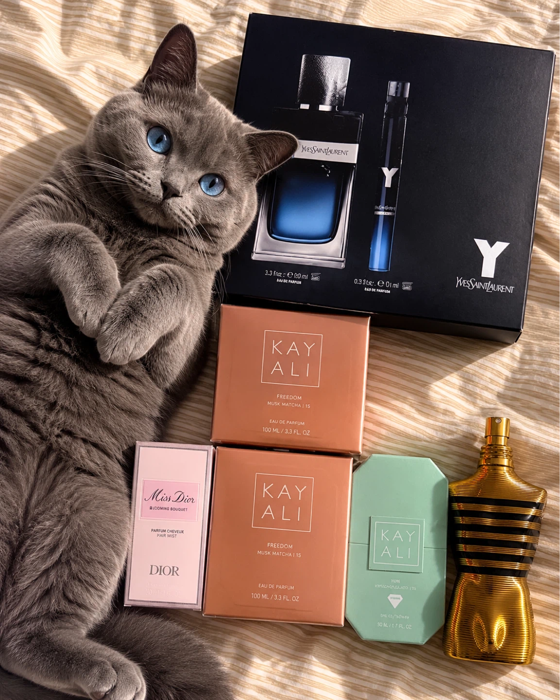 Designer Fragrance Bundle — YSL, Kayali, JPG, Miss Dior (BNIB)