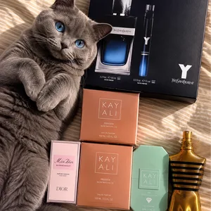 Designer Fragrance Bundle — YSL, Kayali, JPG, Miss Dior (BNIB)