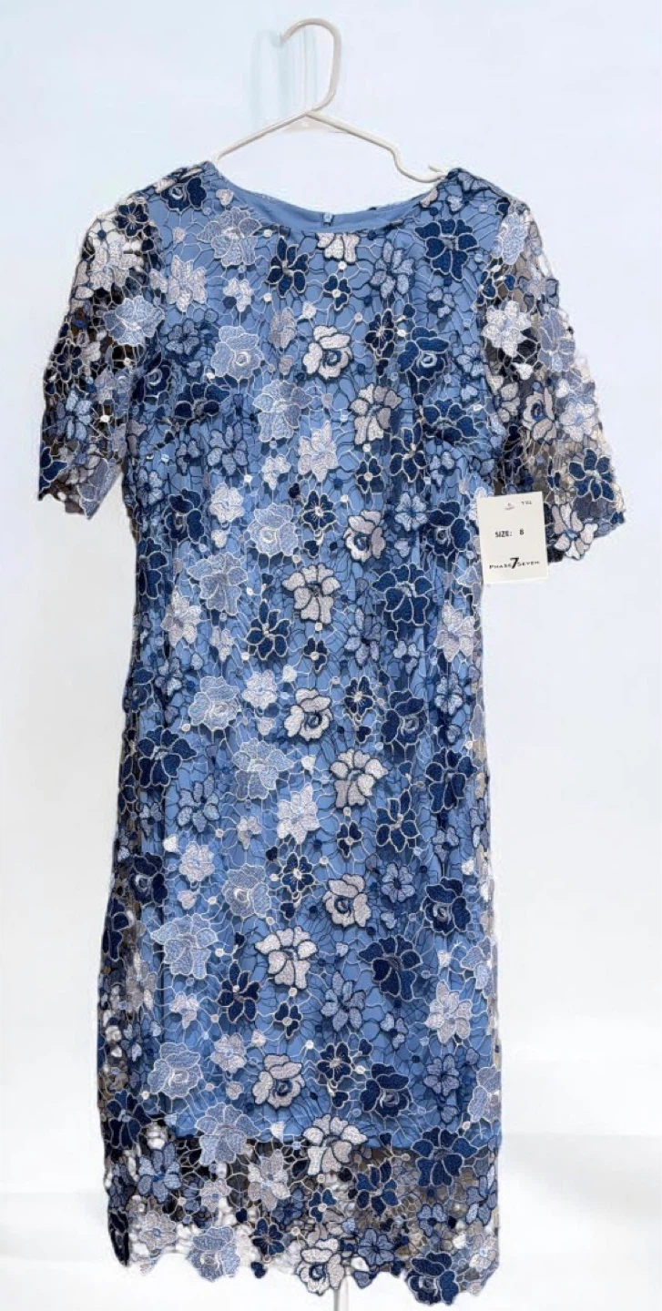 Phase Seven New York Lace Dress Size 8