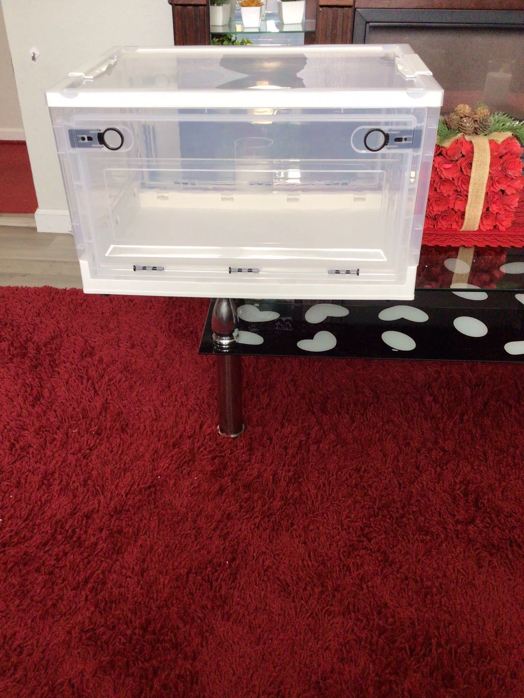 Clear Storage Box with Flip Front