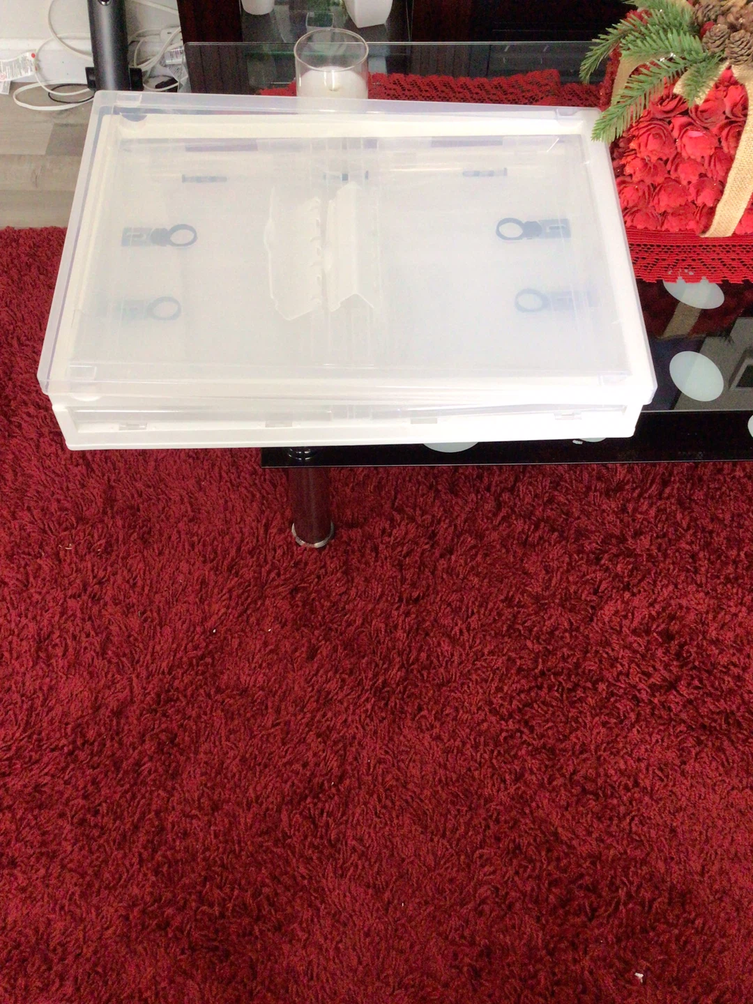 Clear Storage Box with Flip Front - photo 3