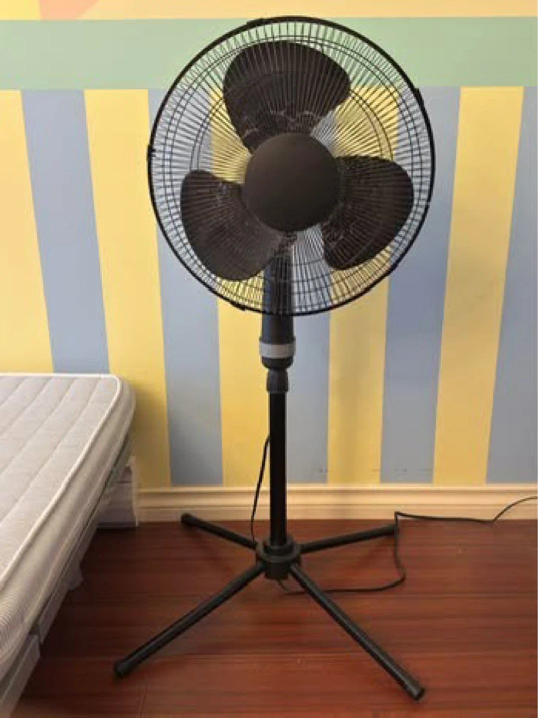 Black Pedestal Fan