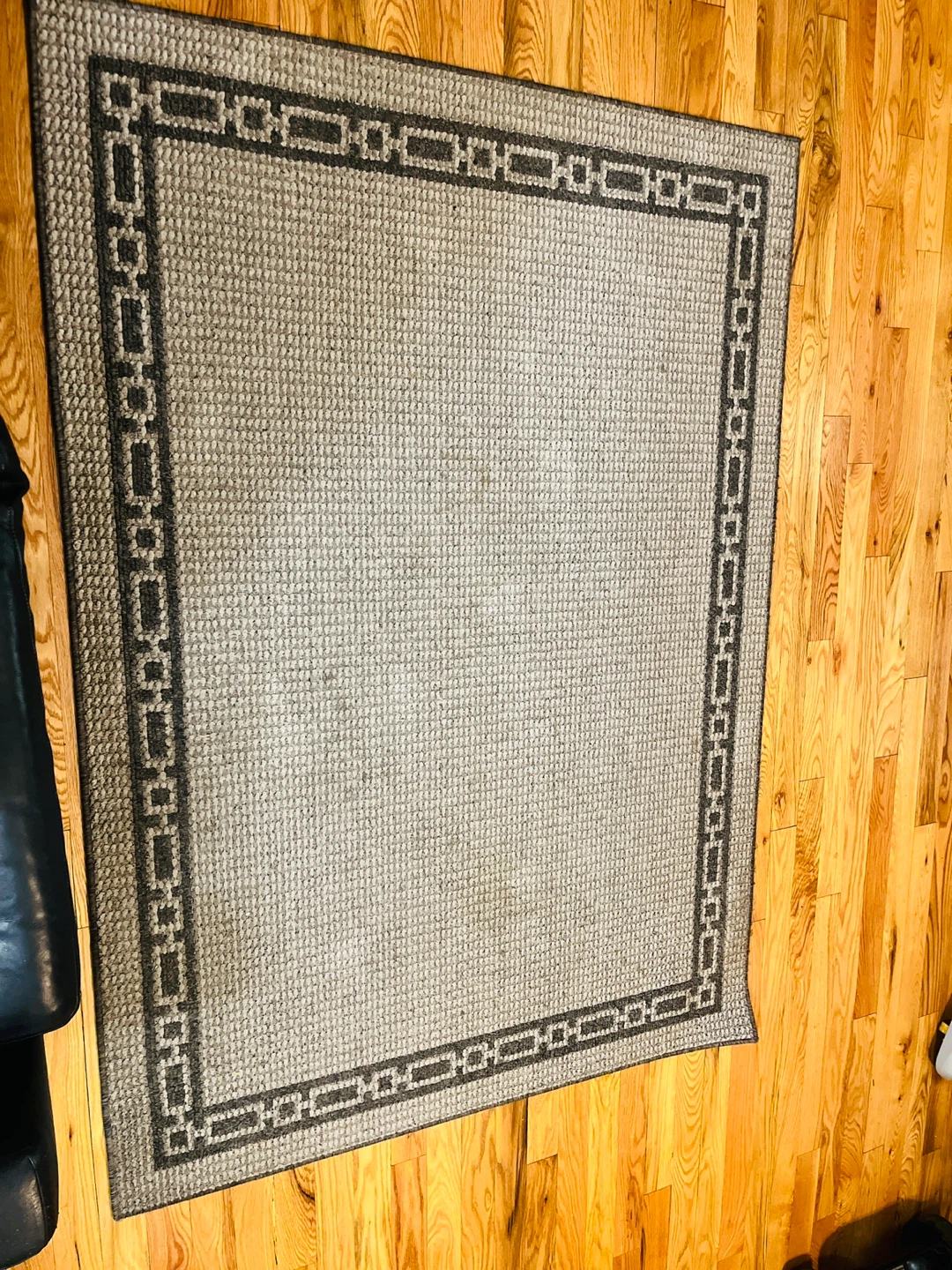 Area Rug with Decorative Border