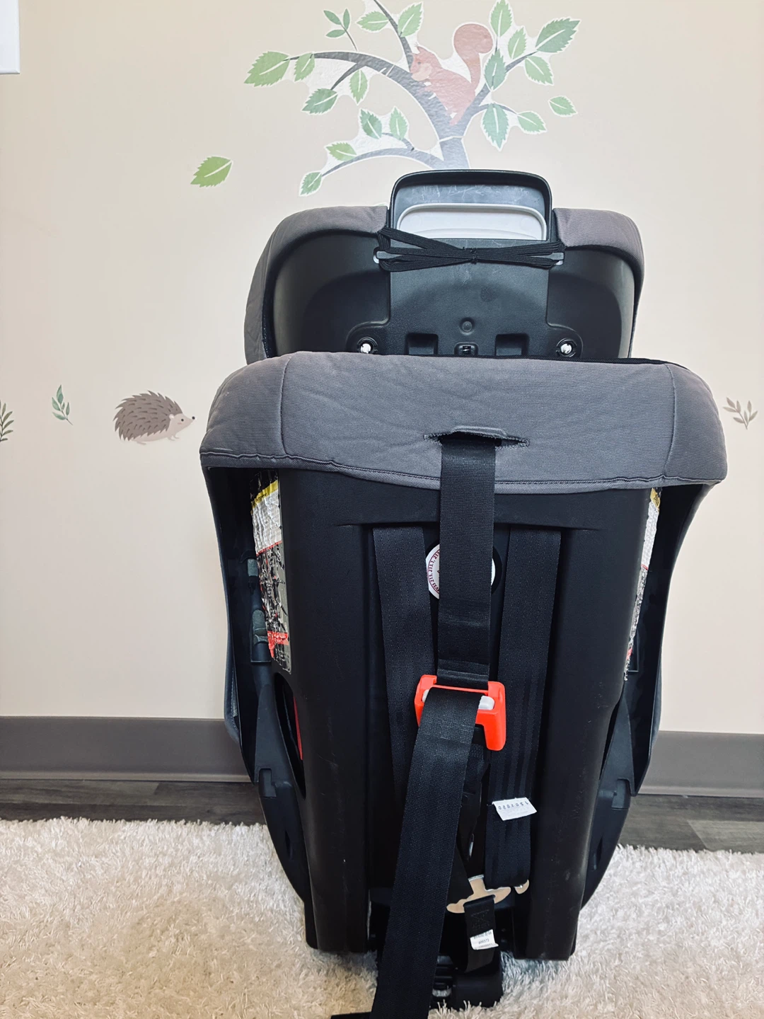 Evenflo Car Seat - photo 5