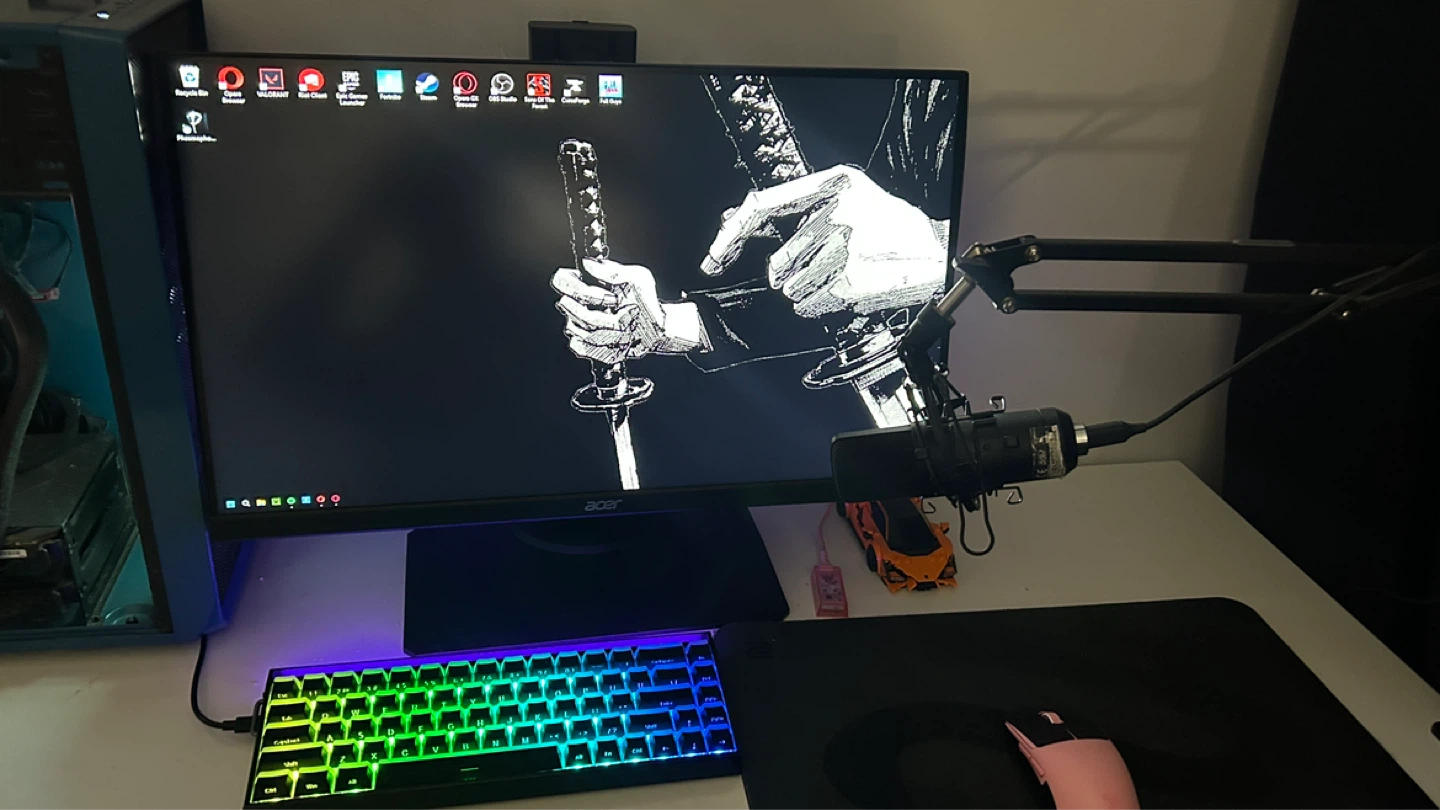 Full gaming setup