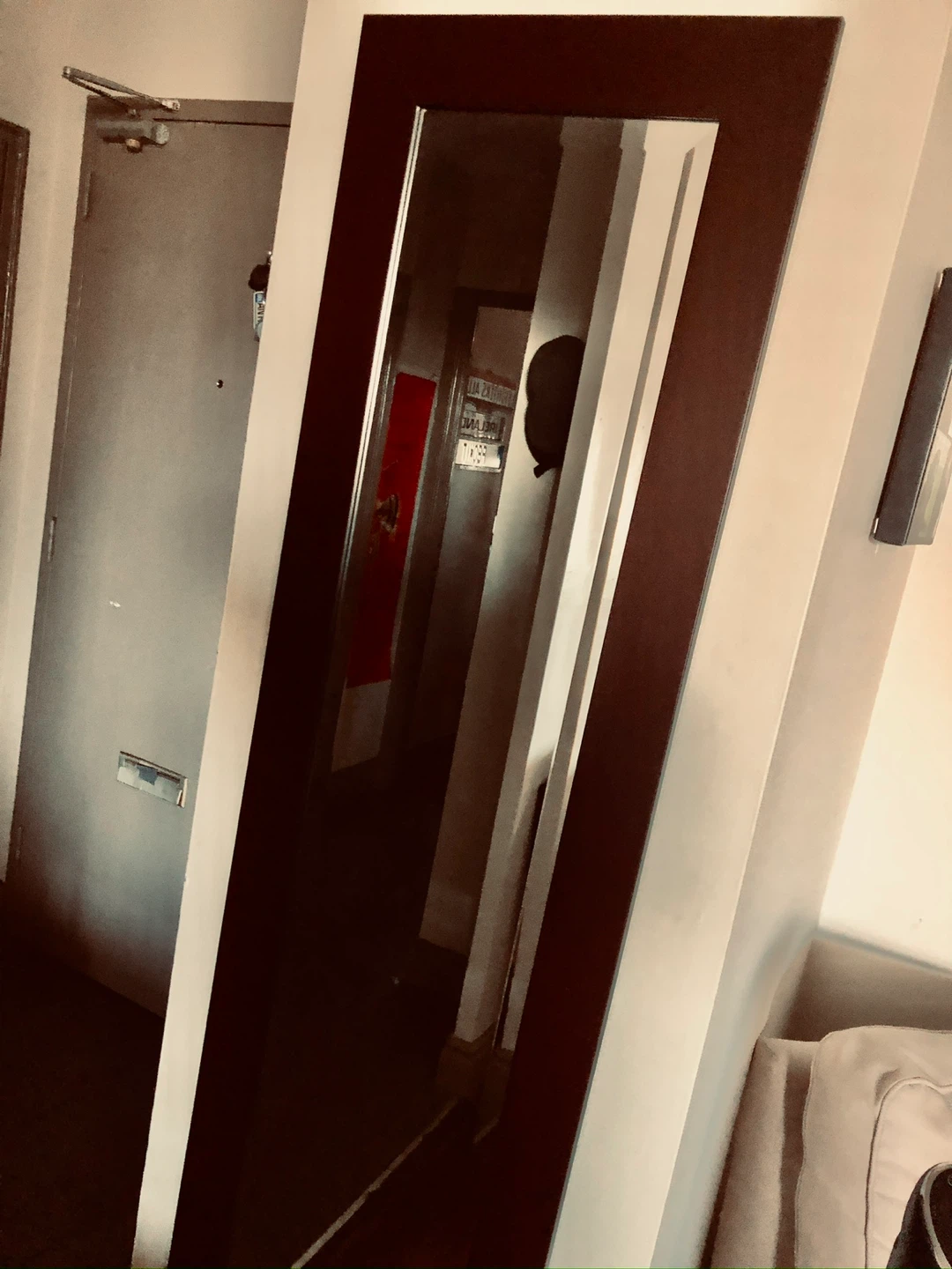Full Length Mirror with Dark Frame - photo 2